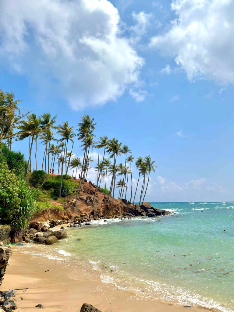 Coconut Tree Hill Mirissa Side view