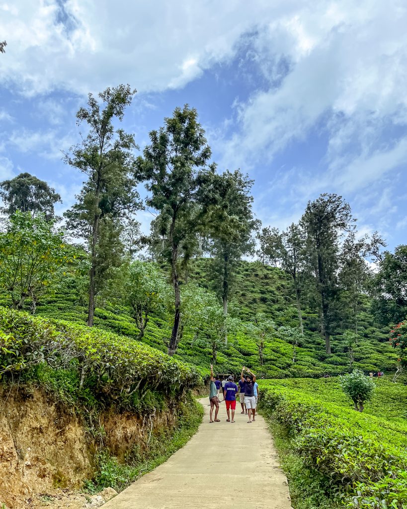 Ella Rock trek