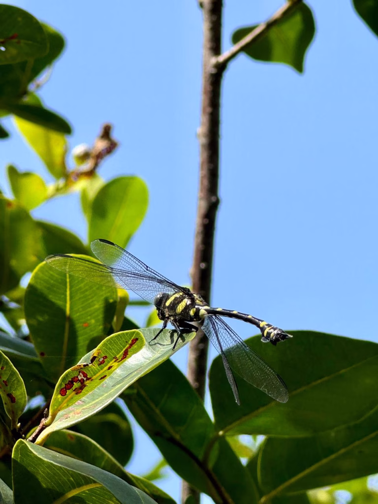 Beddagana Wetland Park